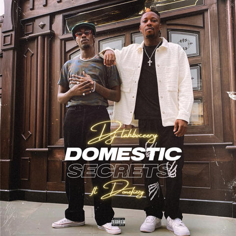 Domestic Secrets