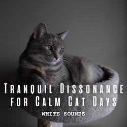 Calm Cat Days with Tranquil Dissonance