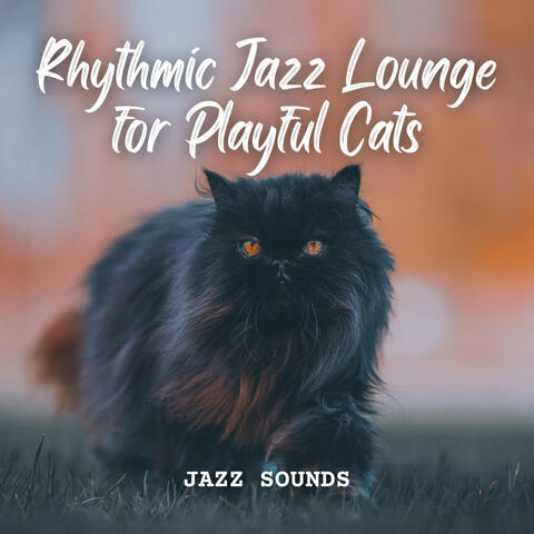 Jazz Sounds: Rhythmic Jazz Lounge for Playful Cats