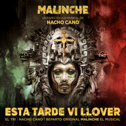 Esta Tarde Vi Llover