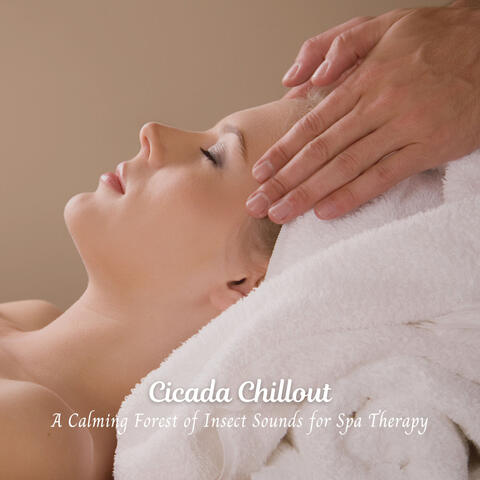 Cicada Chillout: A Calming Forest of Insect Sounds for Spa Therapy