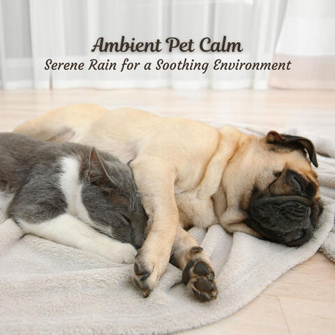 Ambient Pet Calm: Serene Rain for a Soothing Environment