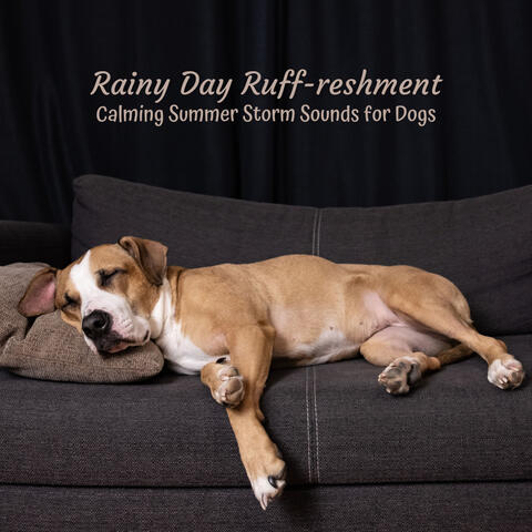 Rainy Day Ruff-reshment: Calming Summer Storm Sounds for Dogs