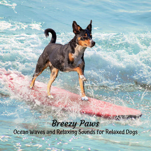 Breezy Paws: Ocean Waves and Relaxing Sounds for Relaxed Dogs