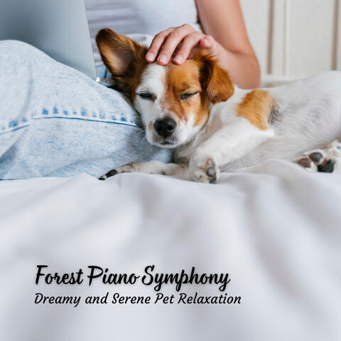 Forest Piano Symphony: Dreamy and Serene Pet Relaxation