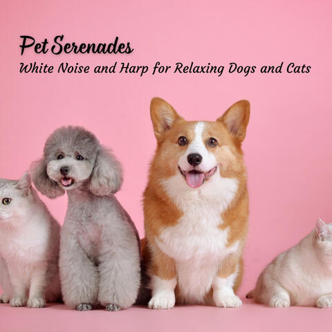 Pet Serenades: White Noise and Harp for Relaxing Dogs and Cats