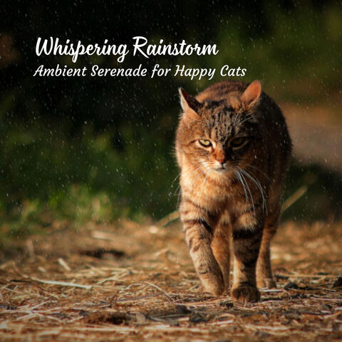 Whispering Rainstorm: Ambient Serenade for Happy Cats