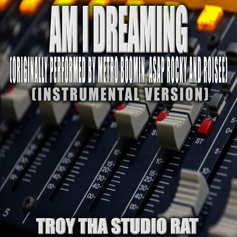 Am I Dreaming (Originally Performed by Metro Boomin, ASAP Rocky and Roisee)
