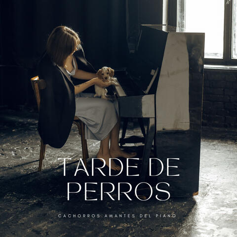 Cachorros Amantes Del Piano: Tarde De Perros