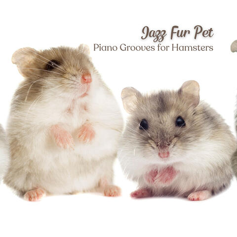 Jazz Fur Pet: Piano Grooves for Hamsters