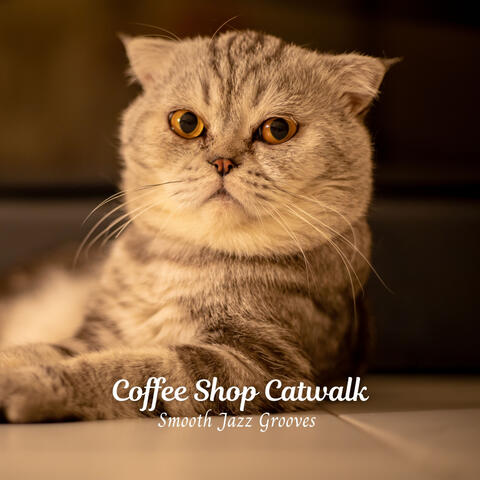Coffee Shop Catwalk: Smooth Jazz Grooves