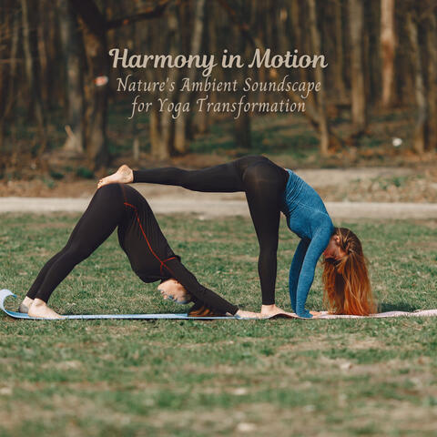 Harmony in Motion: Nature's Ambient Soundscape for Yoga Transformation
