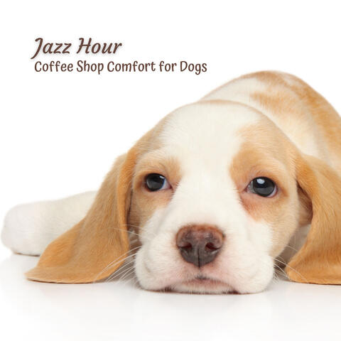 Jazz Hour: Coffee Shop Comfort for Dogs