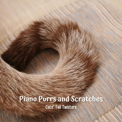 Scratchy Groove Delight