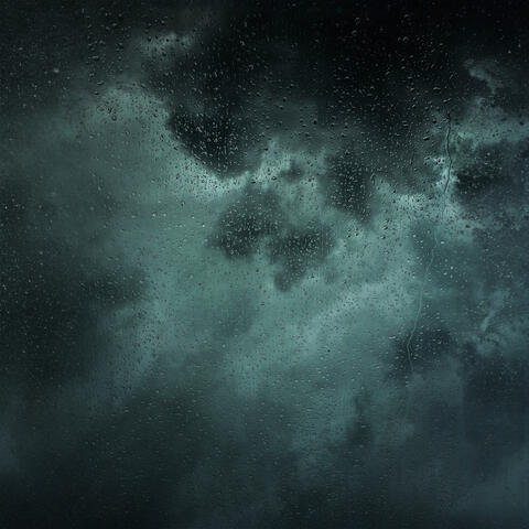 Calm Nature Rain