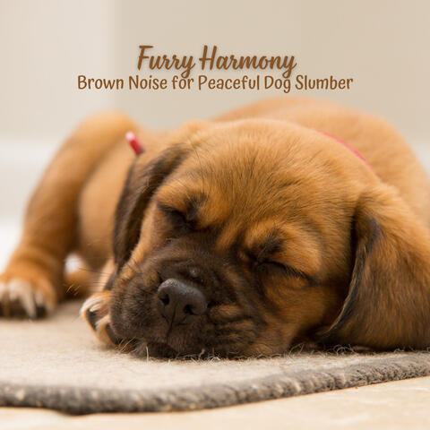 Furry Harmony: Brown Noise for Peaceful Dog Slumber