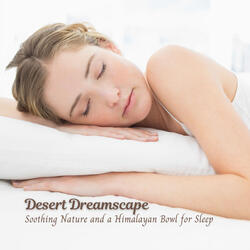 Sleep under the Twinkling Oasis
