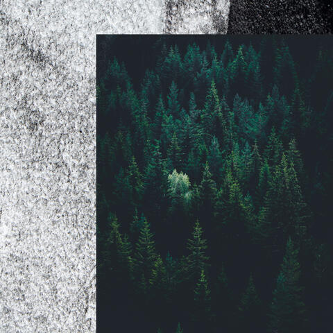Deep Forest