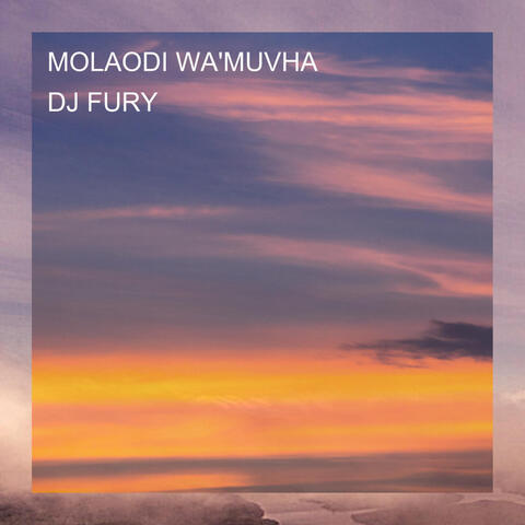 MOLAODI WA'MUVHA