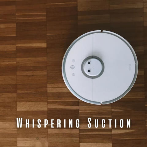 Whispering Suction: Vacuum Cleaner ASMR