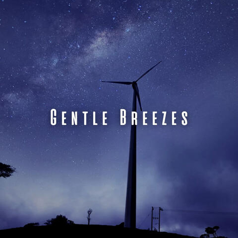Gentle Breezes: Serene Wind ASMR for a Blissful Escape