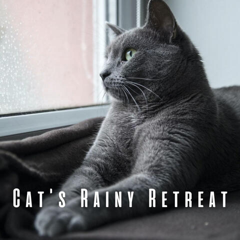 Cat's Rainy Retreat: Binaural Sounds for Stress Relief
