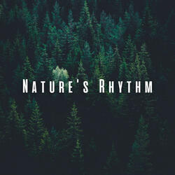 Ambient Focus Landscapes