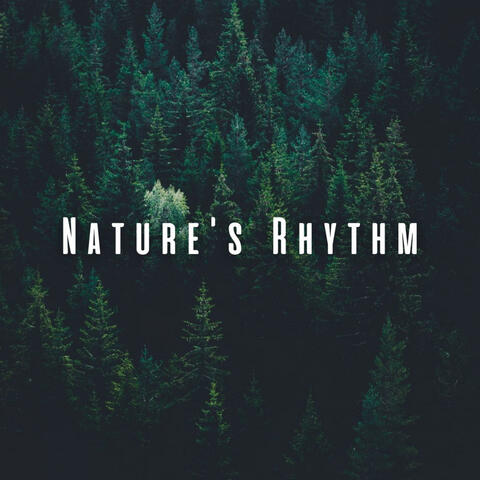 Nature's Rhythm: Ambient Sounds for Uninterrupted Work