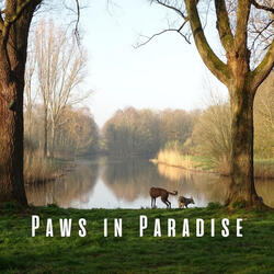 Binaural Pawprints in Paradise