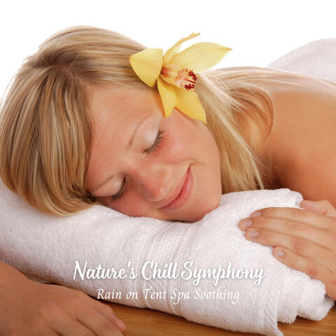 Nature's Chill Symphony: Rain on Tent Spa Soothing