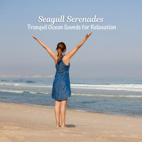 Seagull Serenades: Tranquil Ocean Sounds for Relaxation