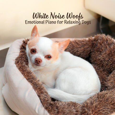 White Noise Woofs: Emotional Piano for Relaxing Dogs