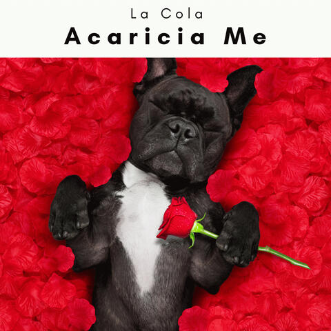 4 Patas: Acaricia Me