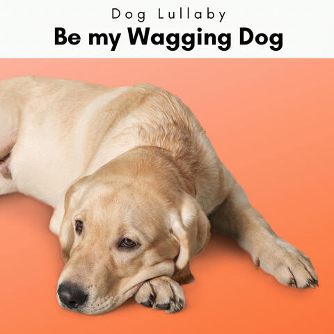 3 2 1 Be my Wagging Dog
