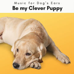 Soft Music for Bright-Eyed Dogs