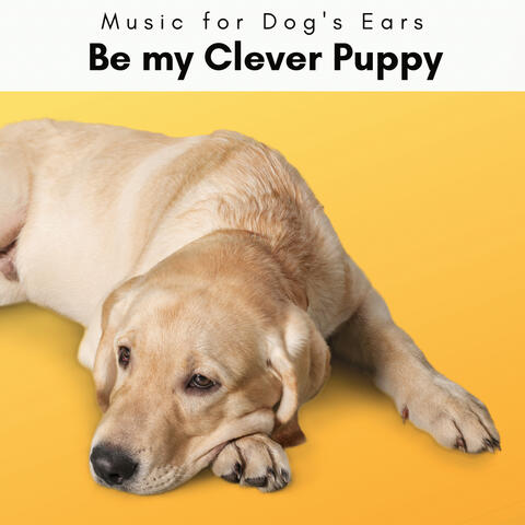1 Be my Clever Puppy