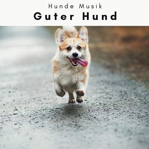 4 Pfoten: Guter Hund
