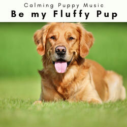 Soft Melodies for Mischievous Puppy
