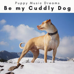 Calming Songs for Wagging Dogs