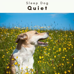 Relaxing Melodies for Lovable Doggie