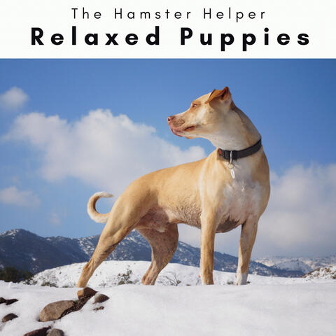 2 0 2 3 Relaxed Puppies