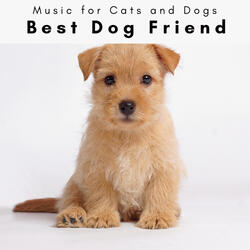 Calming Sounds for Loyal Dogs