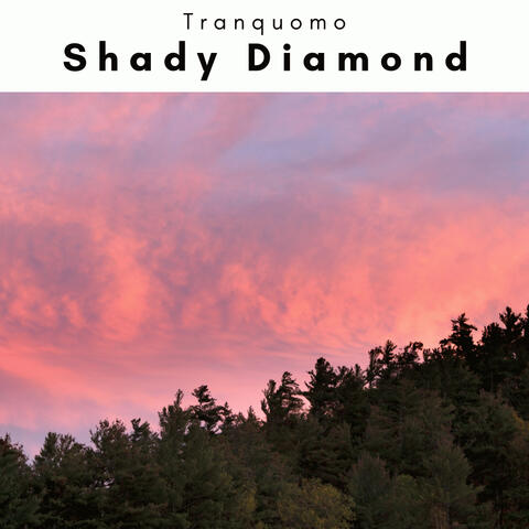 2023: Shady Diamond