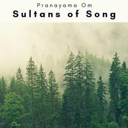 Of the Total Phase and Turbo Track