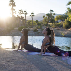 Serenade of Nature's Peace