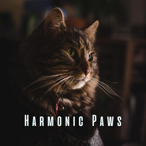 Harmonic Paws: Relaxation Music for a Stress-free Cat