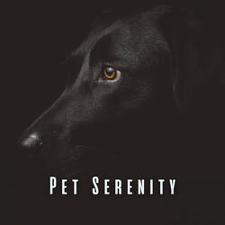 Gentle Pet Soundscape