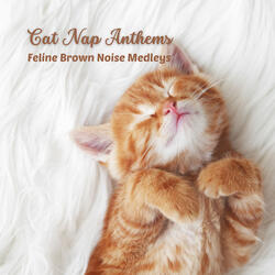 Naptime Serenade for Contented Cats