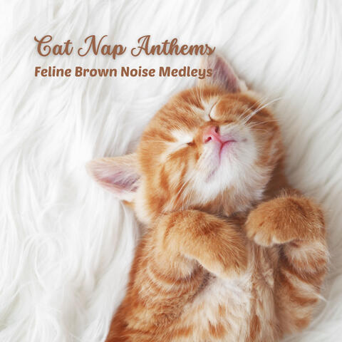 Cat Nap Anthems: Feline Brown Noise Medleys
