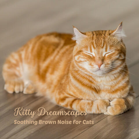 Kitty Dreamscapes: Soothing Brown Noise for Cats